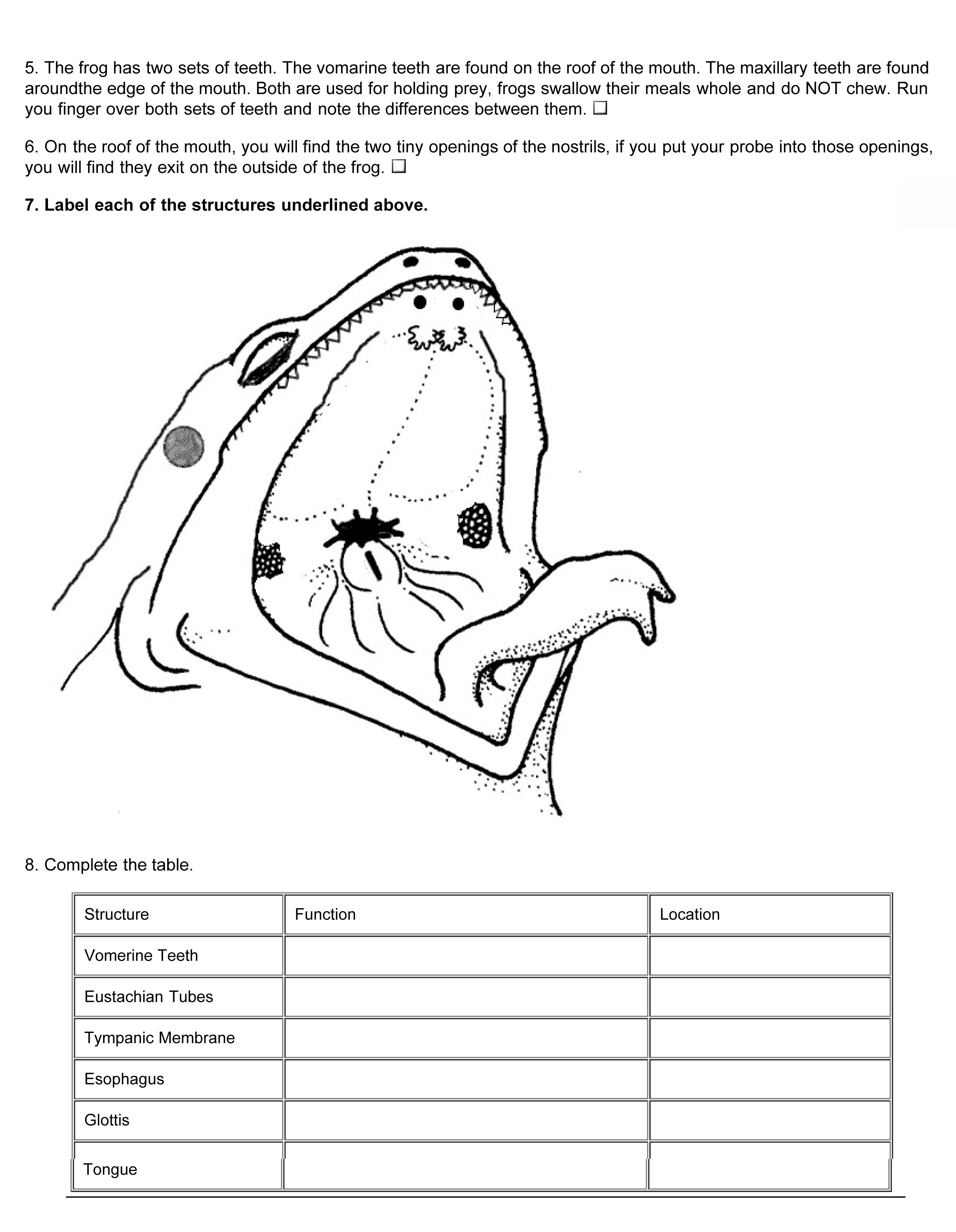 Frog External Anatomy Answers